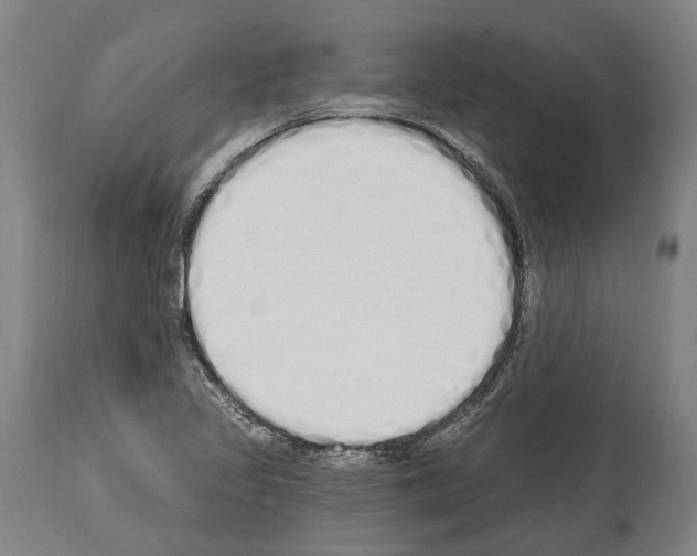 X0000114031317200911131240