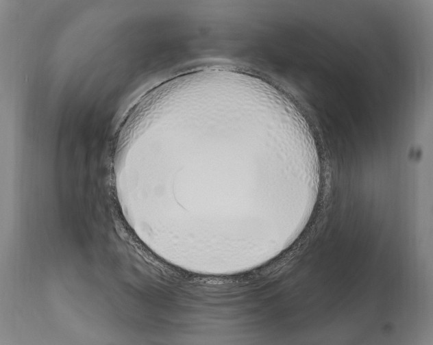 X0000114031318200911131240