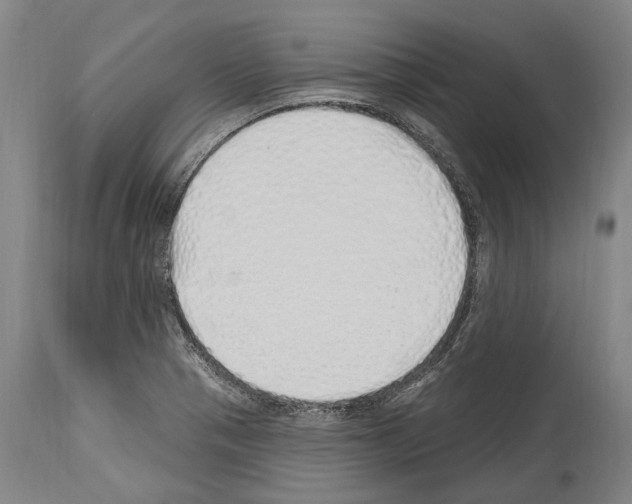 X0000114031321200911131240