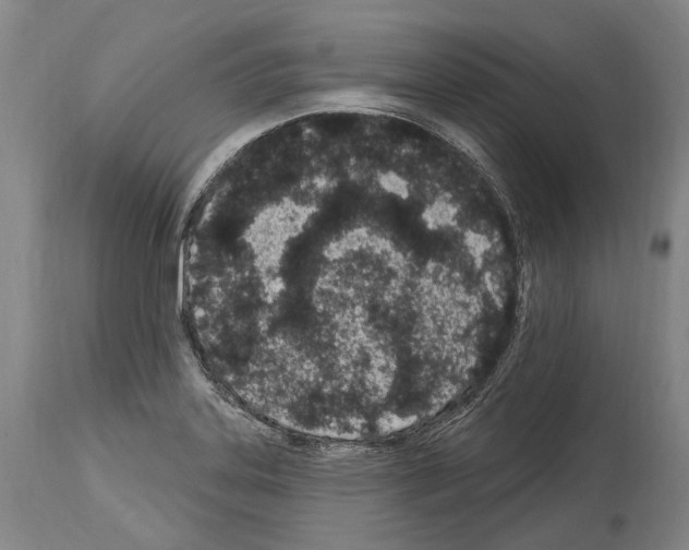 X0000114031323200911131240