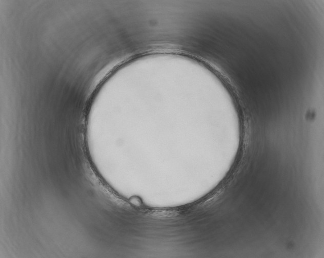 X0000114031325200911131240