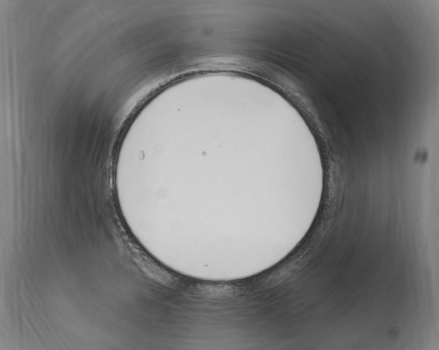 X0000114031328200911131240