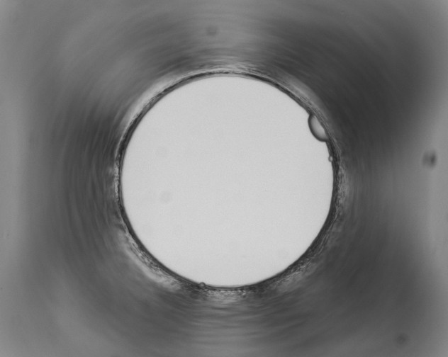 X0000114031332200911131240