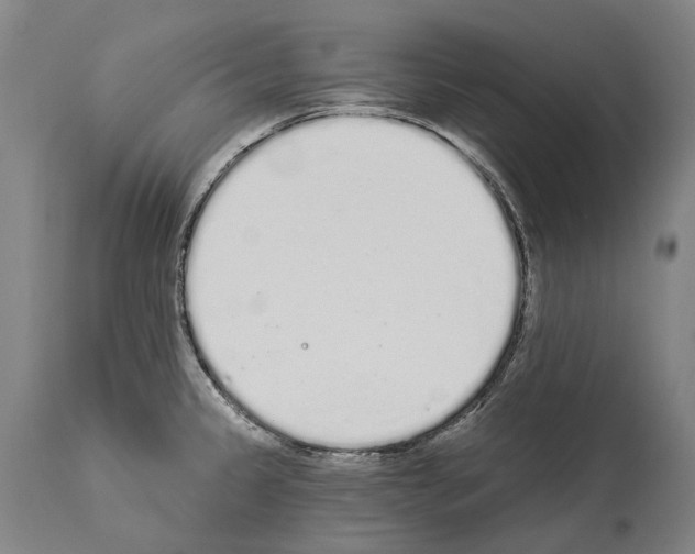 X0000114031333200911131240