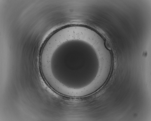 X0000114031334200911131240