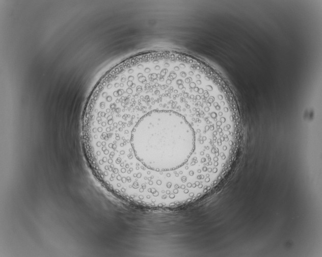 X0000114031335200911131240