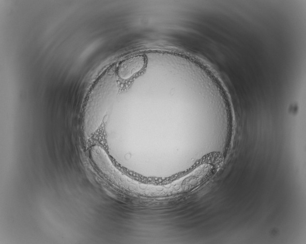 X0000114031338200911131240