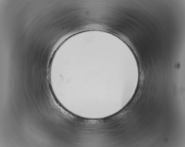 X0000114031339200911131240