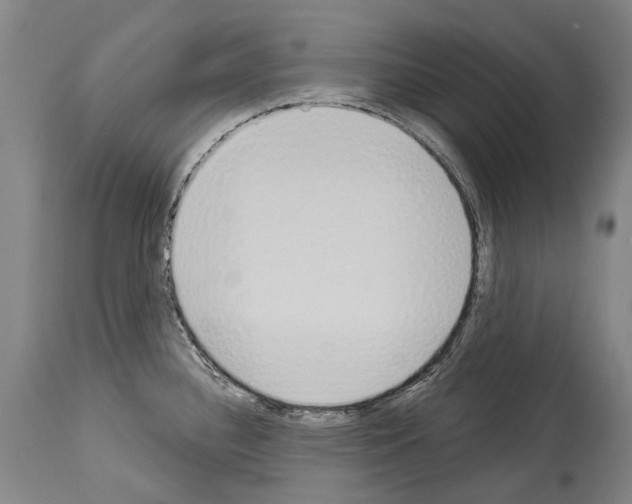 X0000114031340200911131240