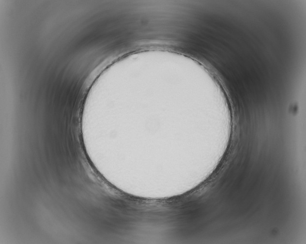 X0000114031341200911131240