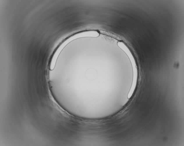 X0000114031342200911131240