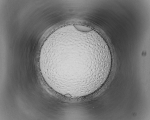 X0000114031344200911131240