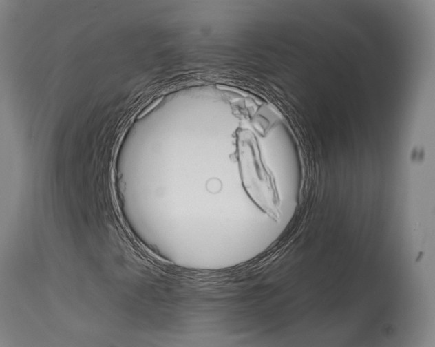 X0000114031345200911131240