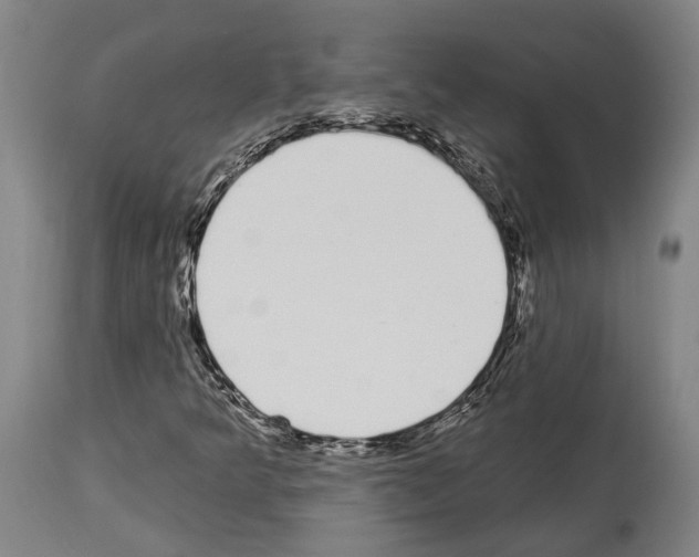 X0000114031349200911131240