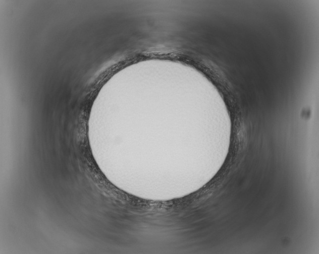 X0000114031350200911131240