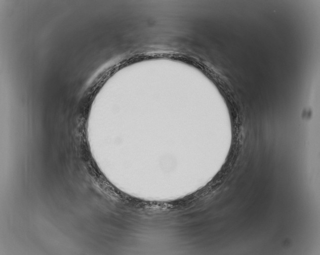 X0000114031351200911131240