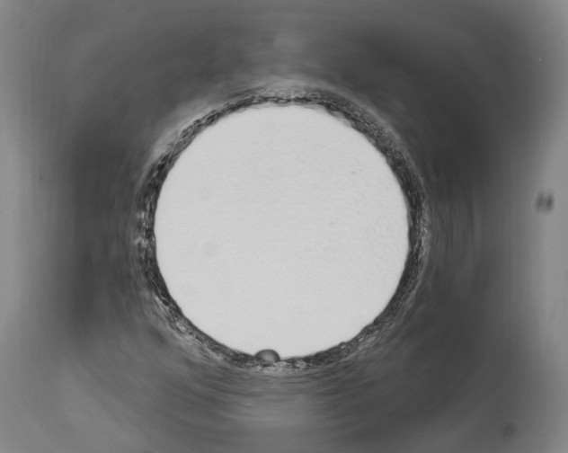 X0000114031352200911131240