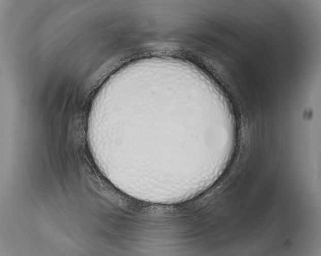 X0000114031354200911131240