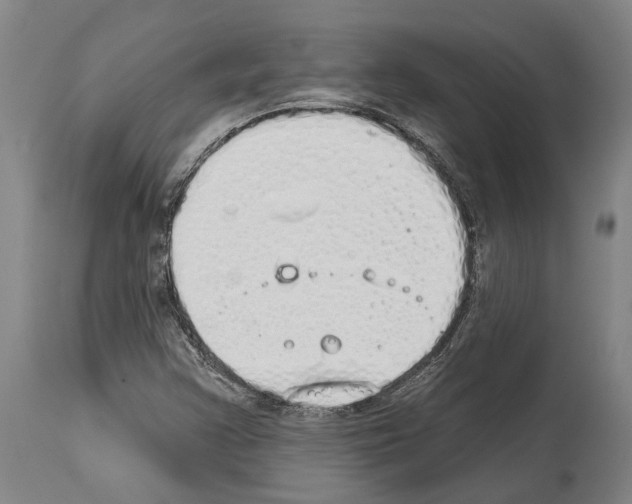 X0000114031355200911131240