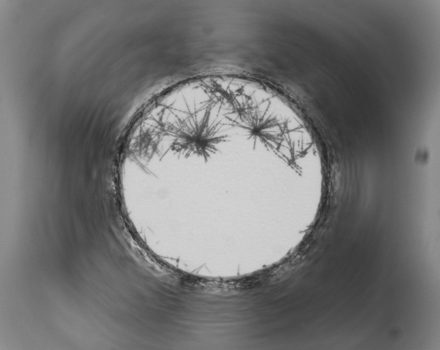 X0000114031356200911131240