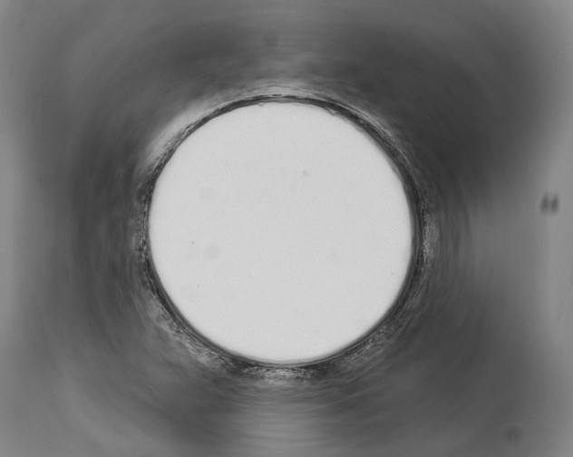 X0000114031359200911131240