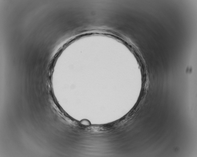 X0000114031360200911131240