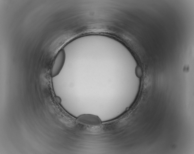 X0000114031361200911131240