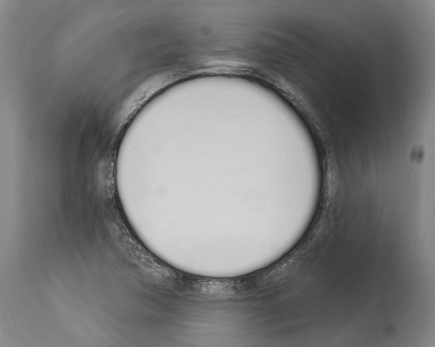 X0000114031362200911131240