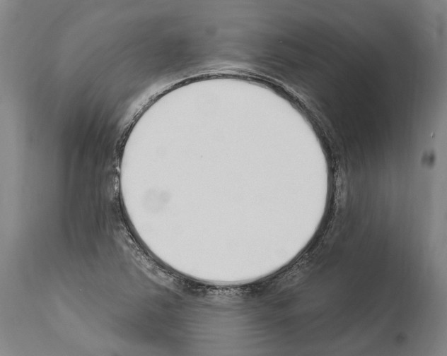 X0000114031363200911131240