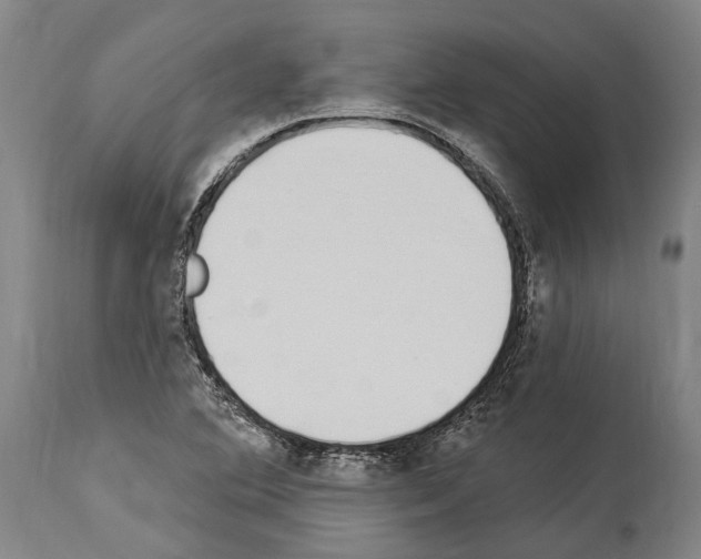 X0000114031364200911131240