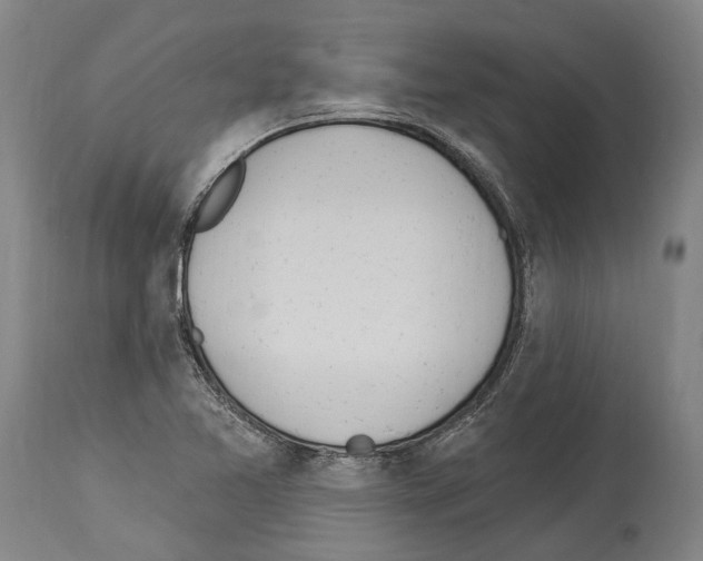 X0000114031365200911131240