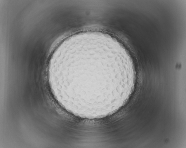 X0000114031366200911131240