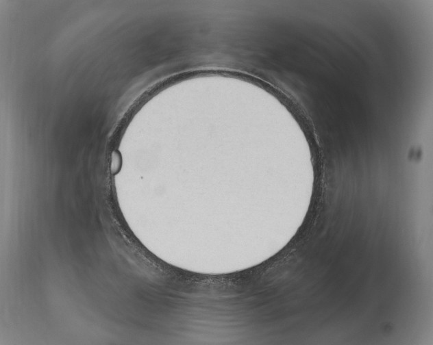 X0000114031368200911131240