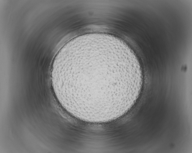 X0000114031370200911131239