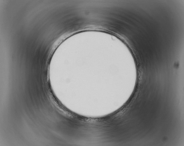 X0000114031371200911131239