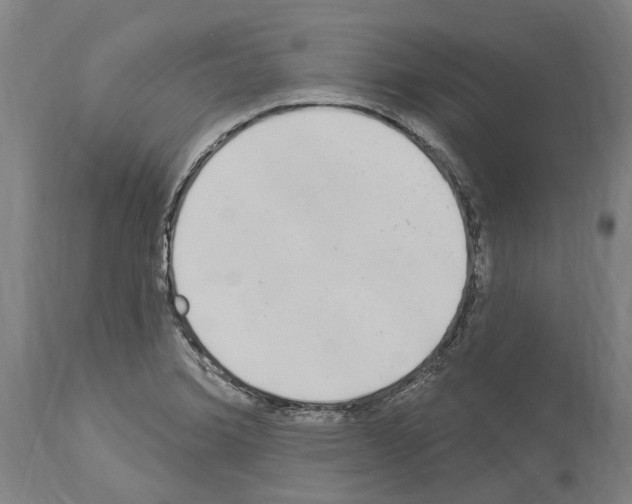 X0000114031372200911131239