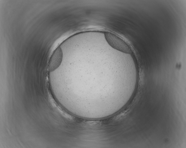 X0000114031373200911131239