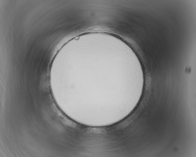 X0000114031374200911131239