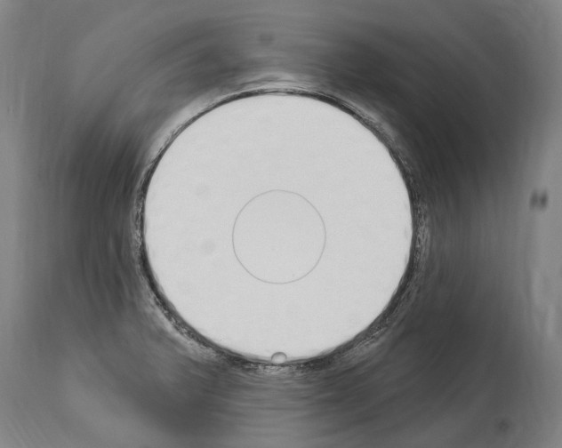 X0000114031375200911131239