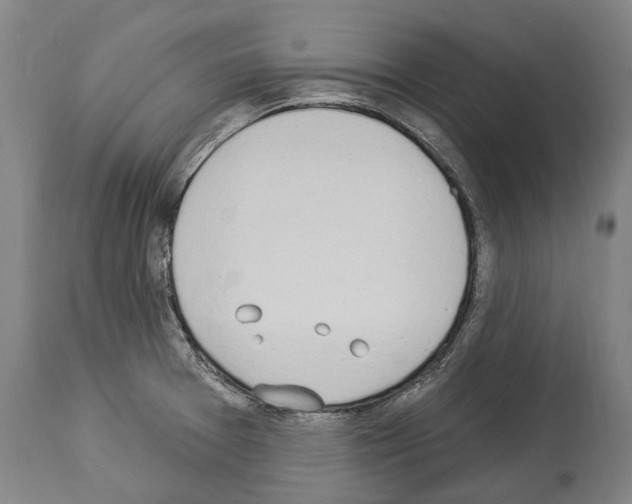 X0000114031377200911131239