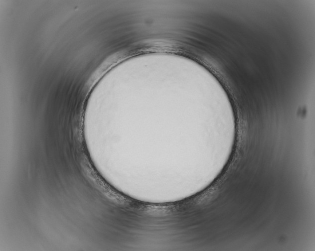 X0000114031378200911131239