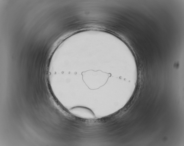 X0000114031379200911131239