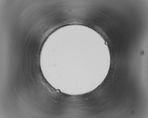 X0000114031380200911131239