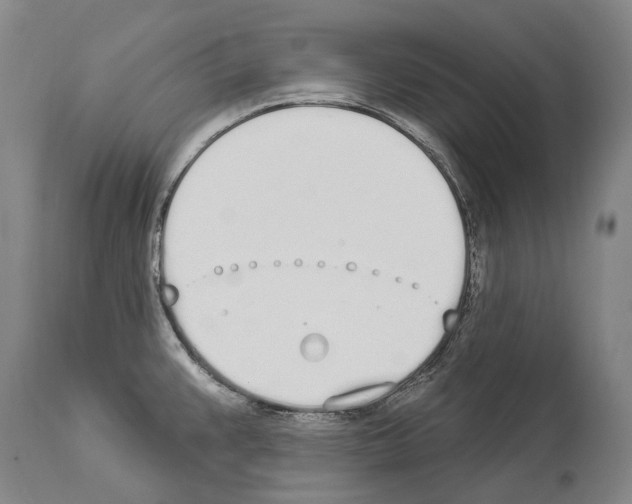 X0000114031383200911131239