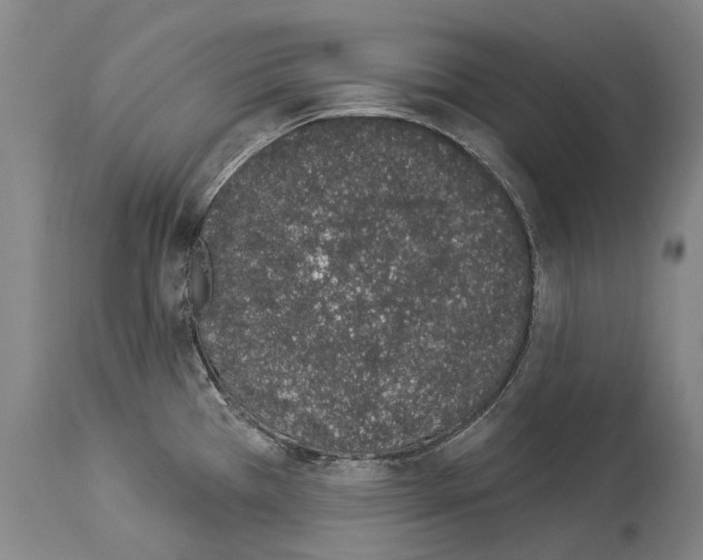 X0000114031385200911131239