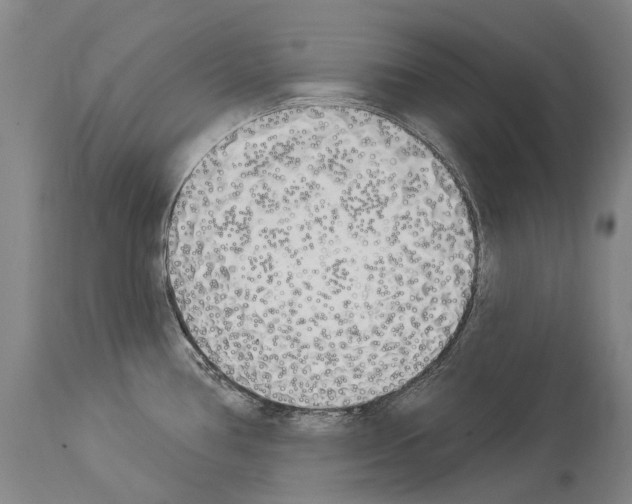 X0000114031386200911131239