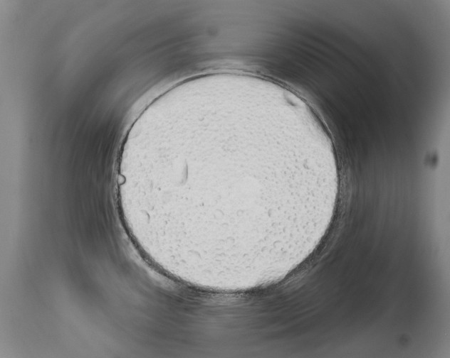 X0000114031387200911131239