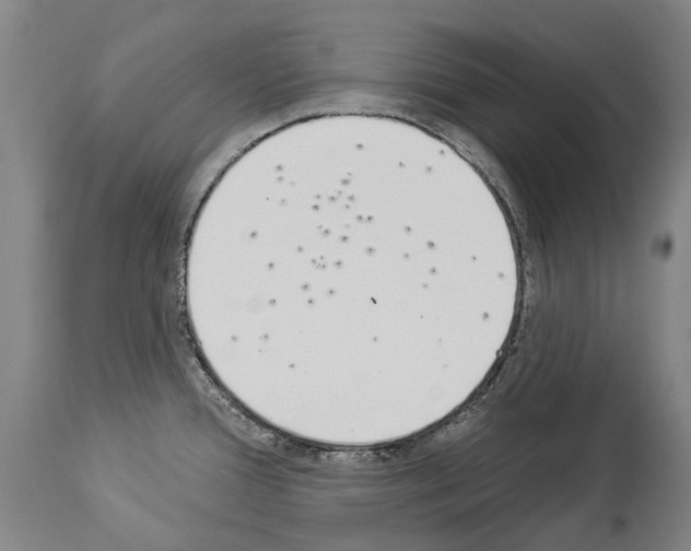 X0000114031388200911131239