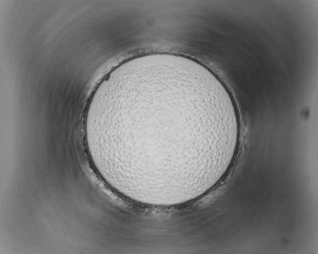 X0000114031389200911131239