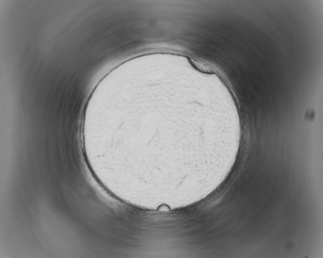 X0000114031391200911131239